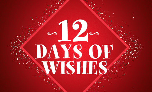 You are currently viewing 12 days of wishes