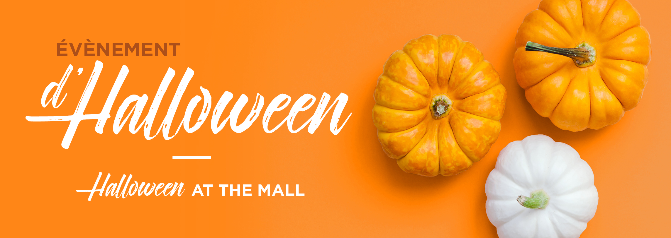 You are currently viewing Halloween at the mall
